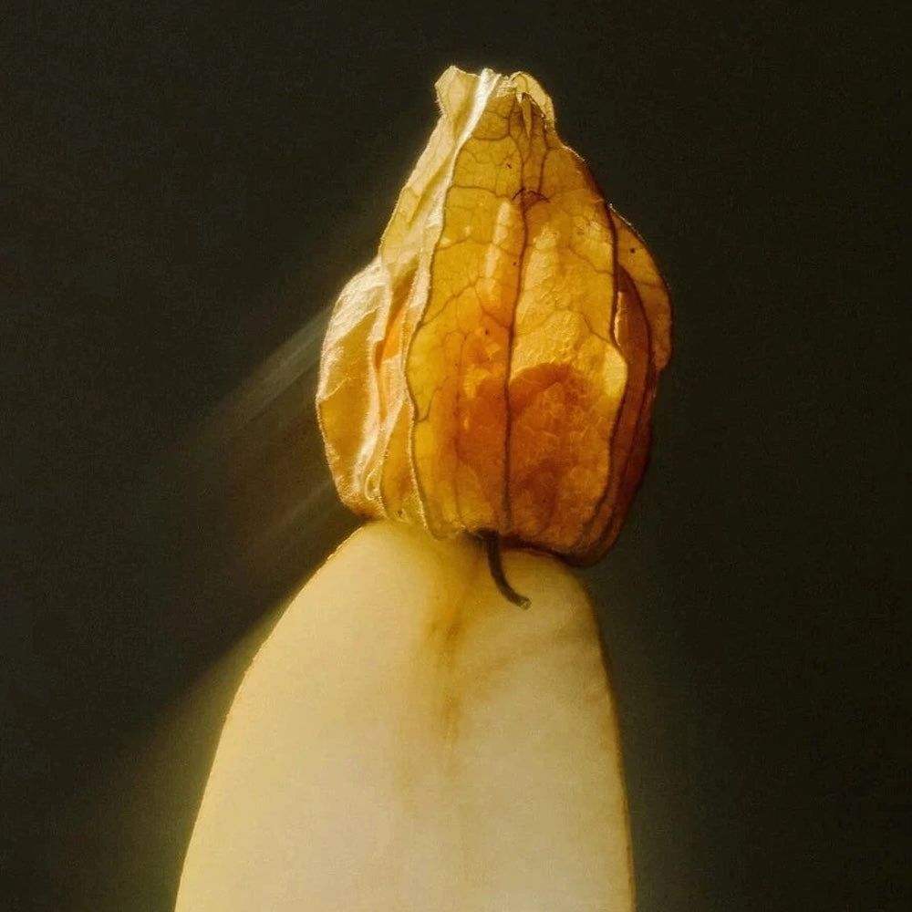 Zero Skin Sanfte Reinigungsmilch, beruhigend pflegend für trockene und empfindliche Haut