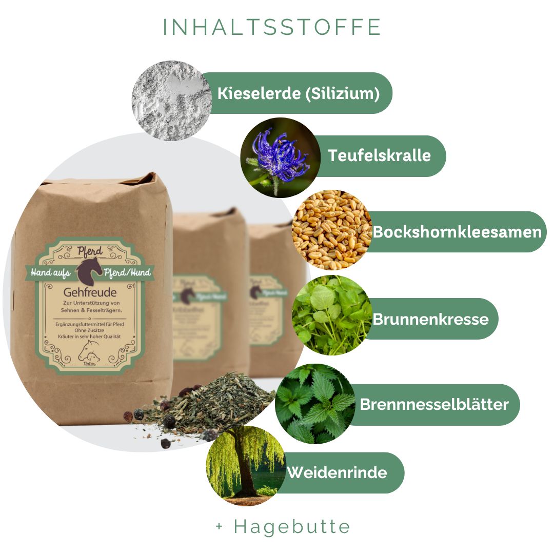 Drei braune Papiertüten mit Produktetiketten. Verschiedene Kräuter und Zutaten, darunter Kieselerde, Teufelskralle, Bockshornkleesamen.