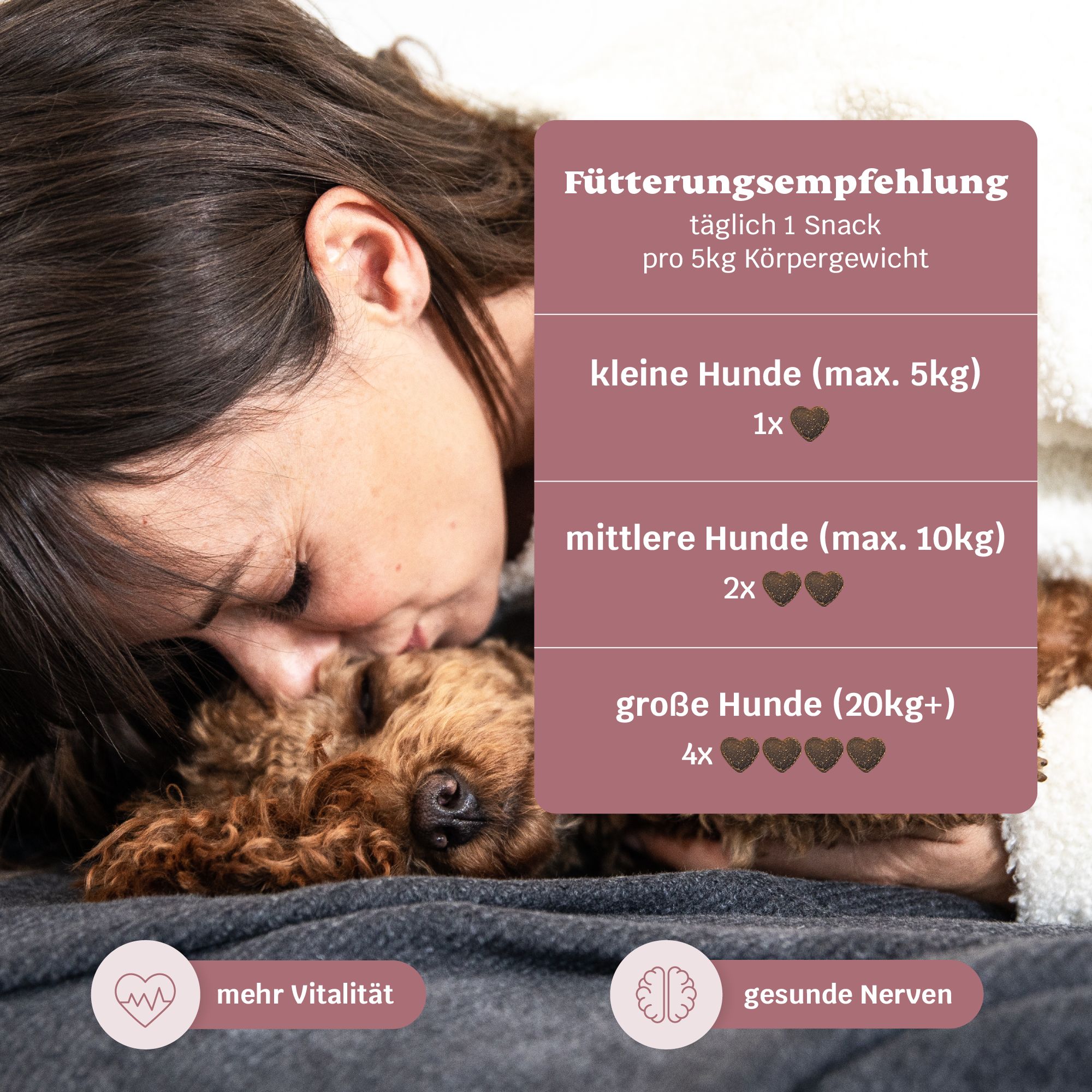 mammaly Pure Genius Kognitiv Snack für Hunde mit Ginkgo & Vitaminen, Nahrungsergänzungsmittel