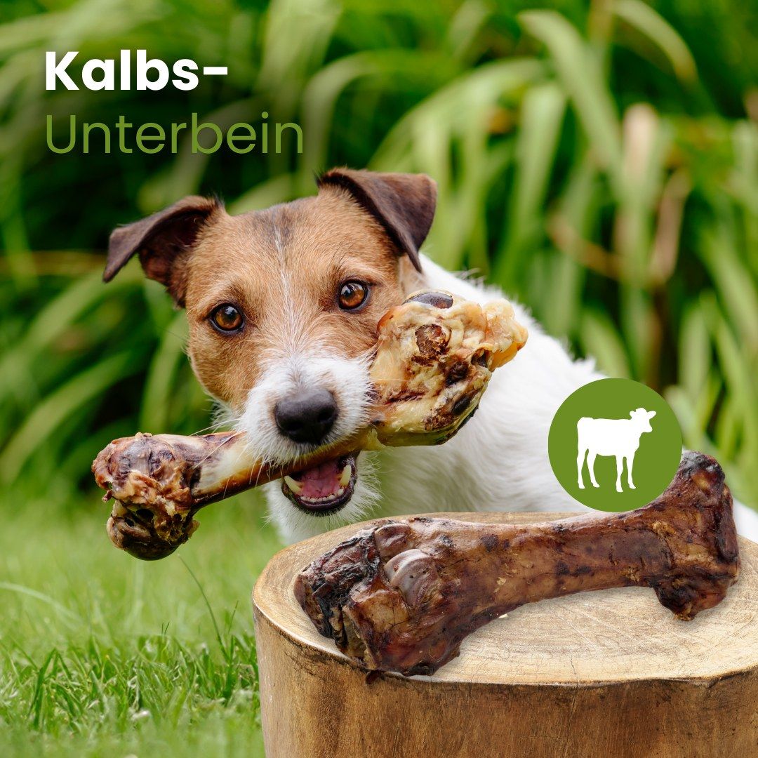 Kalbs-Unterbein Hundekauartikel, ca. 20-30 cm lang, ca. 600 g, hart.