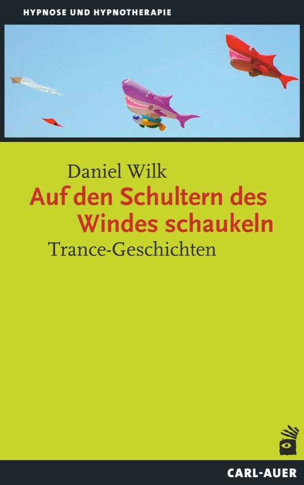 Buchcover mit Titel "Auf den Schultern des Windes schaukeln". Autor: Daniel Wilk. Hintergrund: Himmel mit bunten Drachen.
