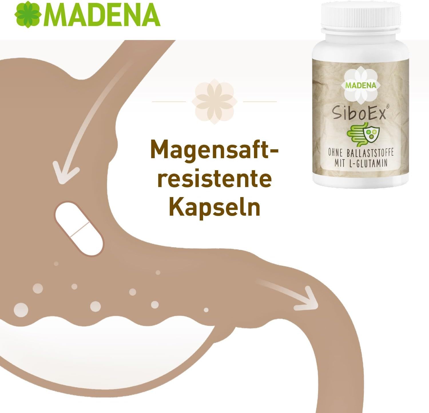 MADENA SiboEx Darmbakterien Kapseln. Dose mit Produktetikett. Magensaftresistente Kapseln.