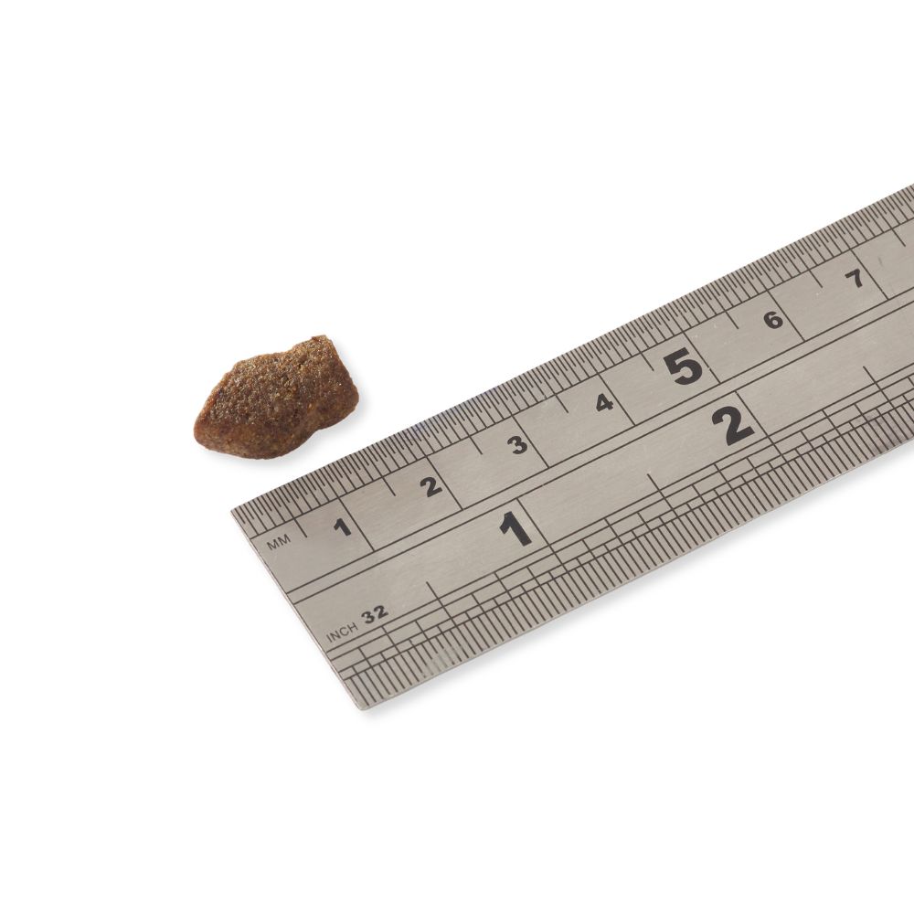 Ein einzelnes Mini-Morsel neben einem Lineal. Das Lineal zeigt eine Größe von ca. 1 cm.
