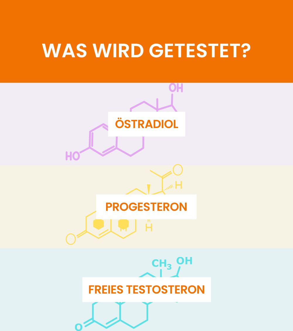 MetaLytic - Hormontest Plus (Östradiol, Progesteron & freies Testosteron) | vollwertiger Labortest