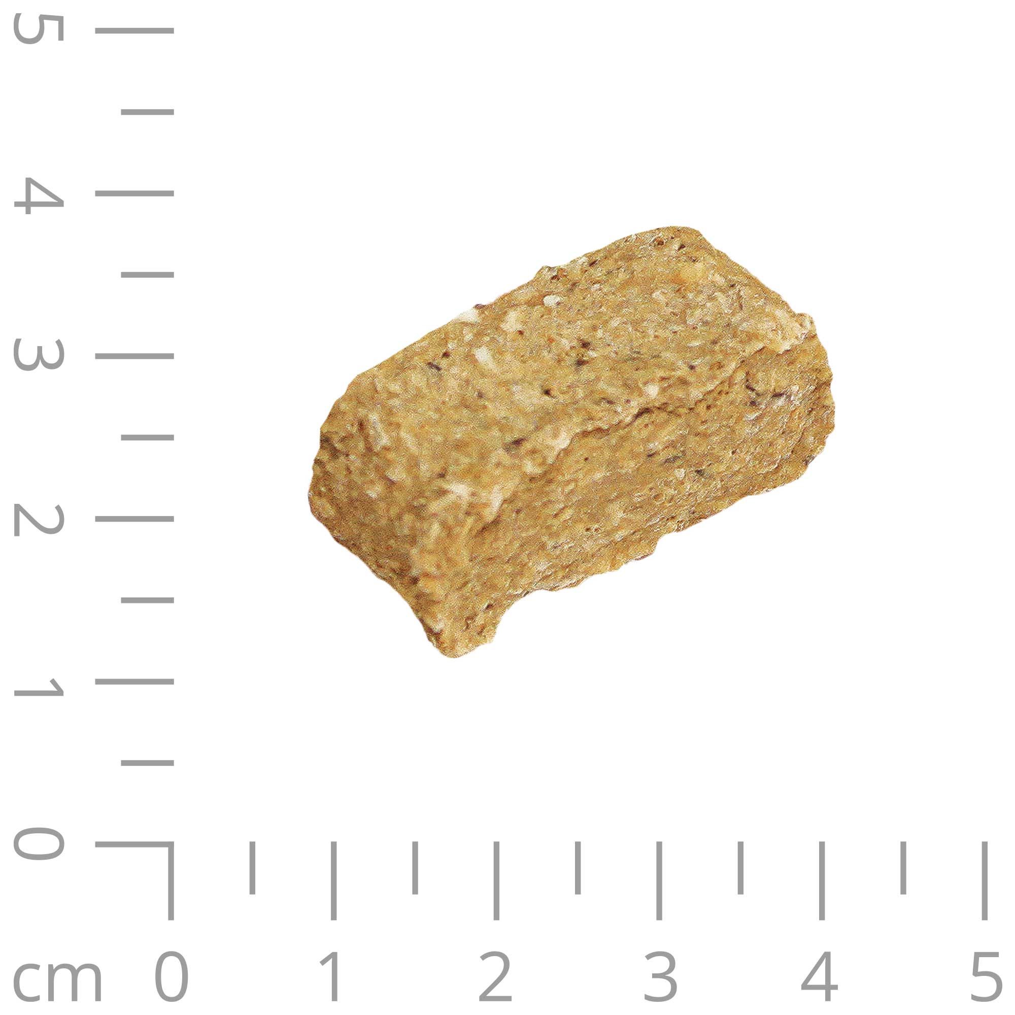 Einzelner Hundefutterbrocken. Eckiges, beige Stück. Maßstab in Zentimetern.