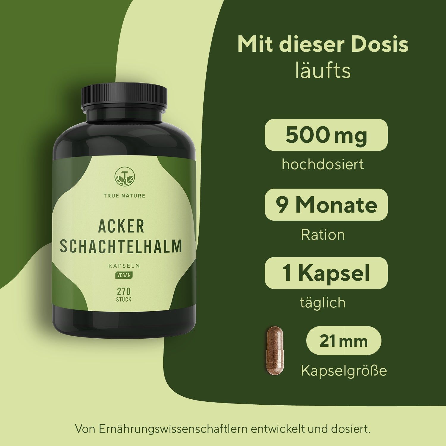 Produktflasche neben Informationen: 500mg hochdosiert, 9 Monate Ration, 1 Kapsel täglich, 21mm Kapselgröße. Braune Kapsel.
