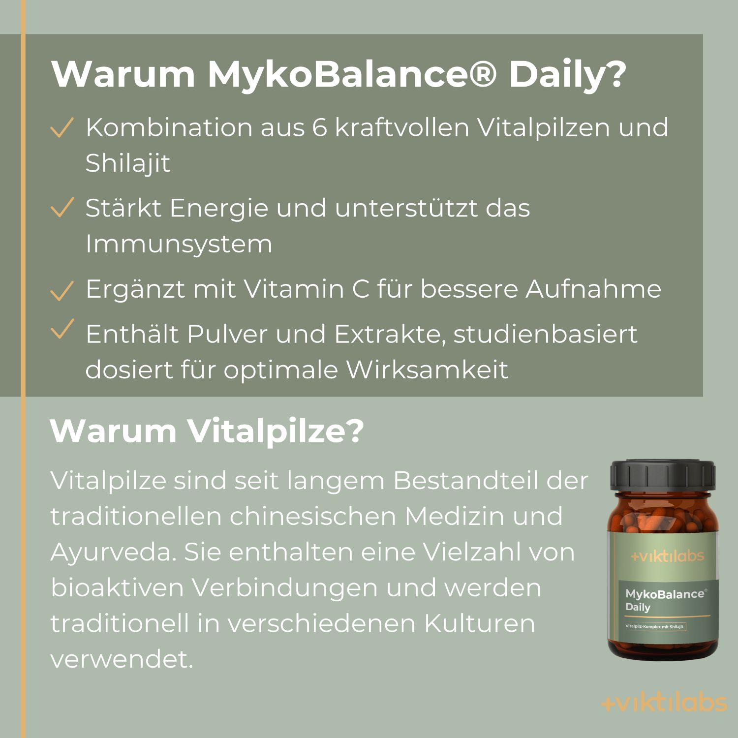 Infografik mit Stichpunkten zu Viktilabs MykoBalance Daily: Vitalpilze, Immunsystem, Vitamin C.