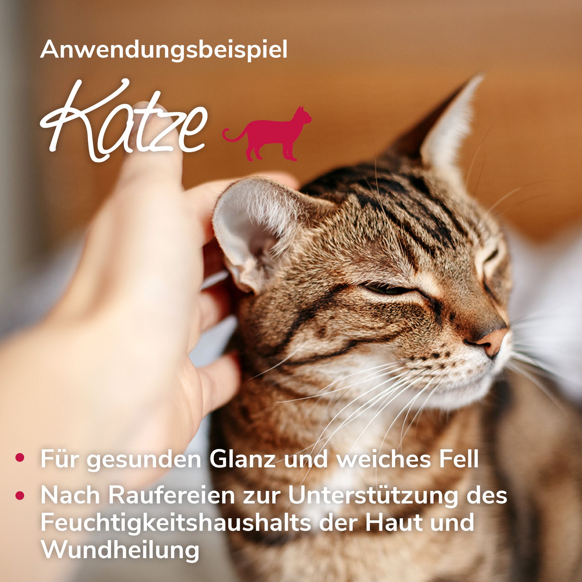 Katze wird gestreichelt. Flasche mit Produktetikett wird gehalten. Text: Anwendung Katze.