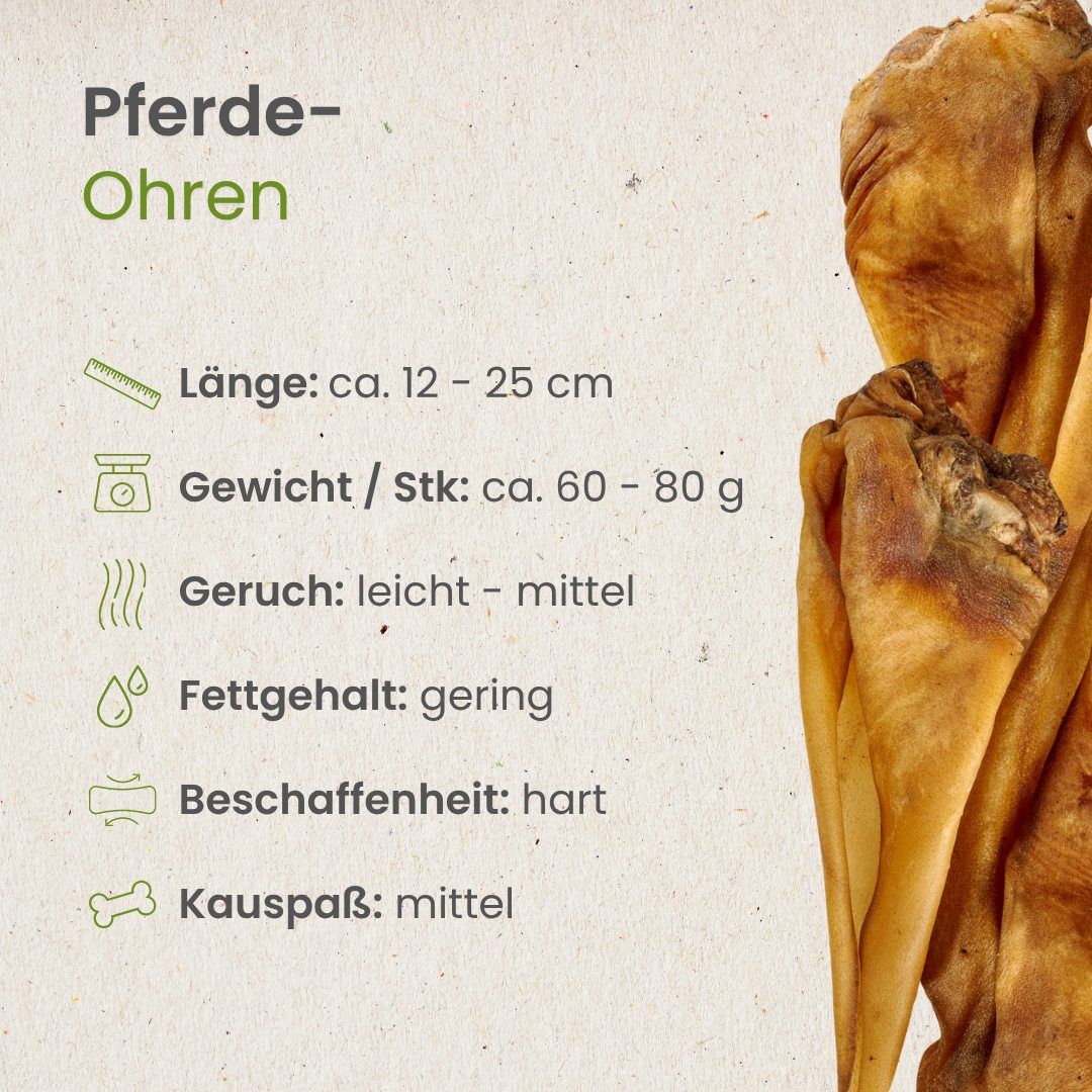 Drei getrocknete, braune Schweine-Nasen mit leichter Krümmung auf weißem Grund.