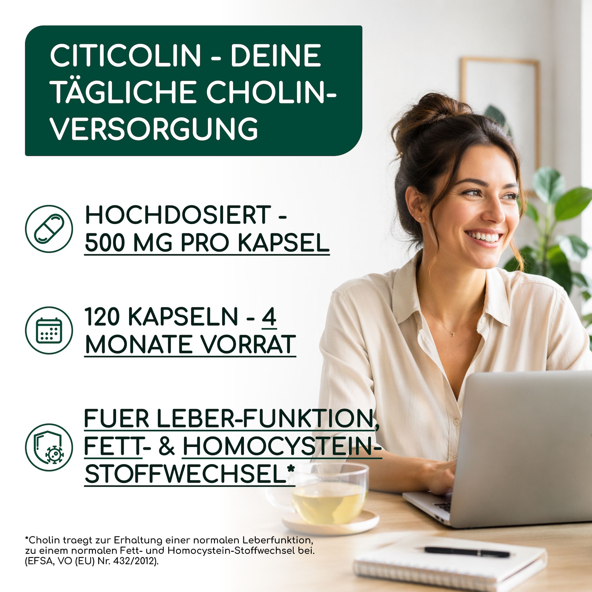 Frau am Laptop mit Texten über Cholin-Versorgung, hochdosiert, 120 Kapseln, 4 Monate Vorrat.