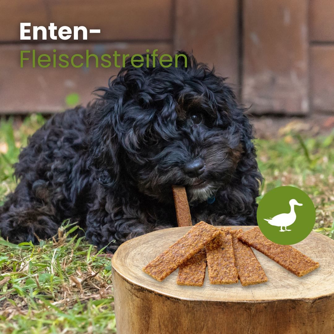 Lange Rinder-Nase, 40-80 cm, 100% Rind, unterstützt natürliche Zahnpflege.