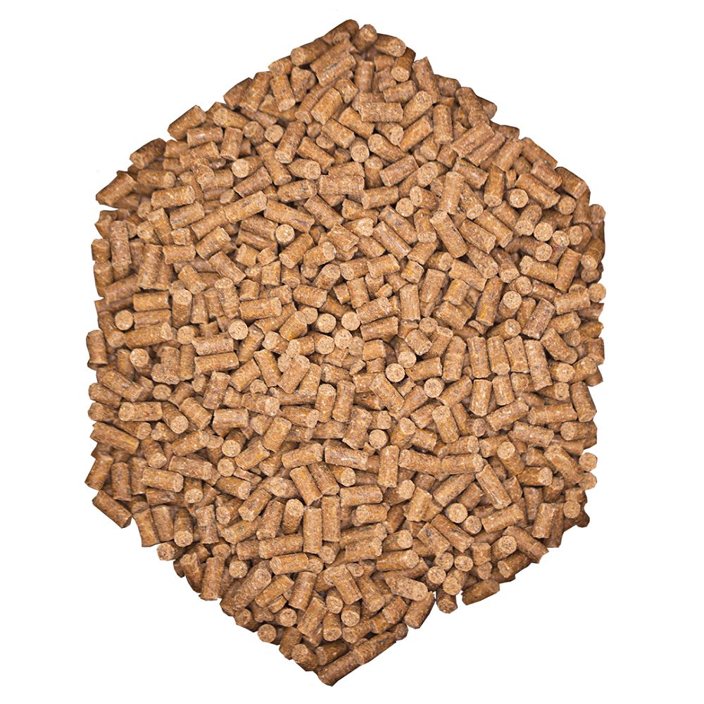 Braune Pellets. Zylindrische Form. Auf weißem Hintergrund.