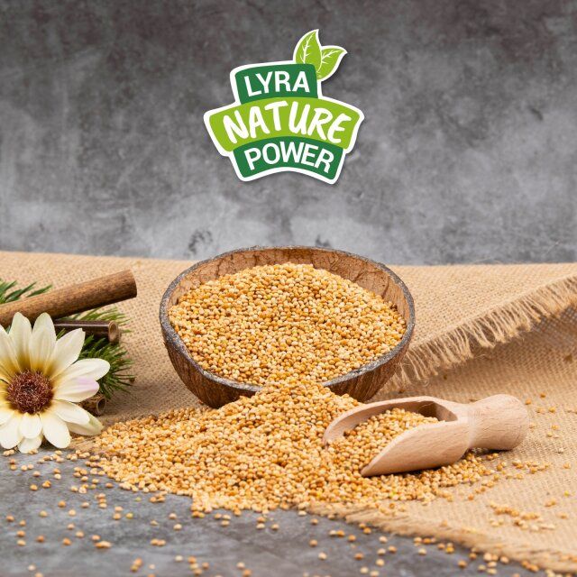 Hirse in Kokosnussschale mit Holzschaufel. Text: Lyra Nature Power.