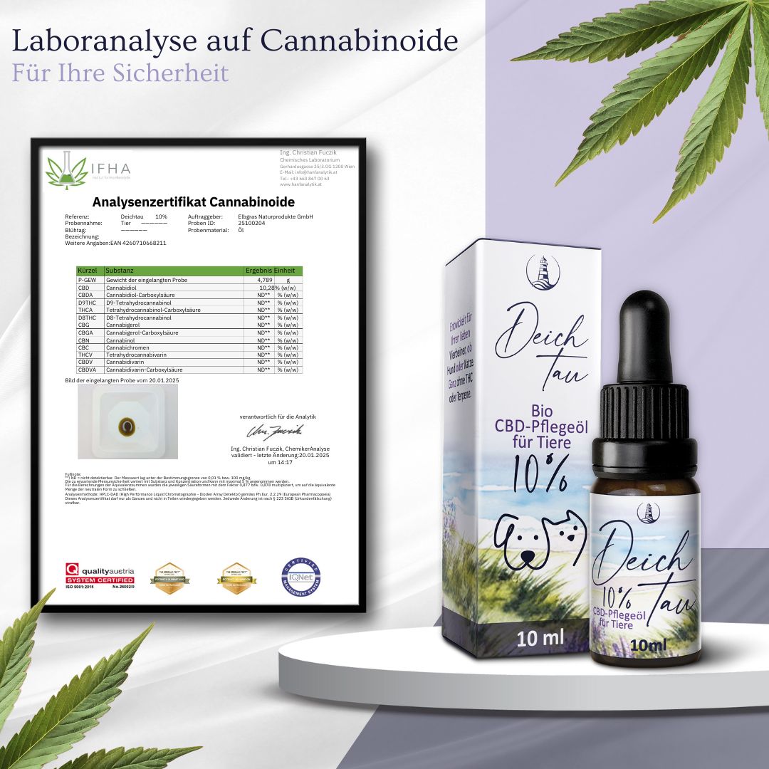 Deichtau Bio CBD Öl 10% für Hund & Katze - CBD-Hanföl-Tropfen – Echtes Cannabisöl - Deutsche Marke