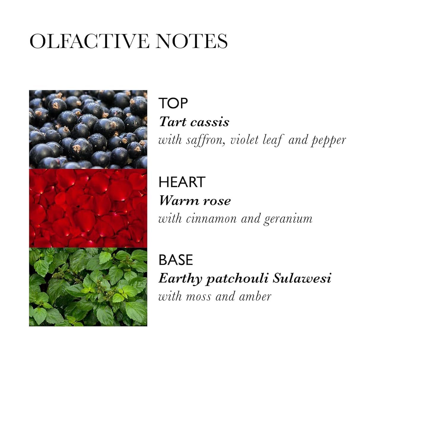 Text mit olfaktorischen Noten. Oben: Schwarze Johannisbeere. Herz: Rose. Basis: Patschuli.