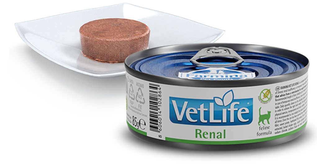 Farmina Vet Life Renal Niereninsuffizienz Nassfutter für Katzen