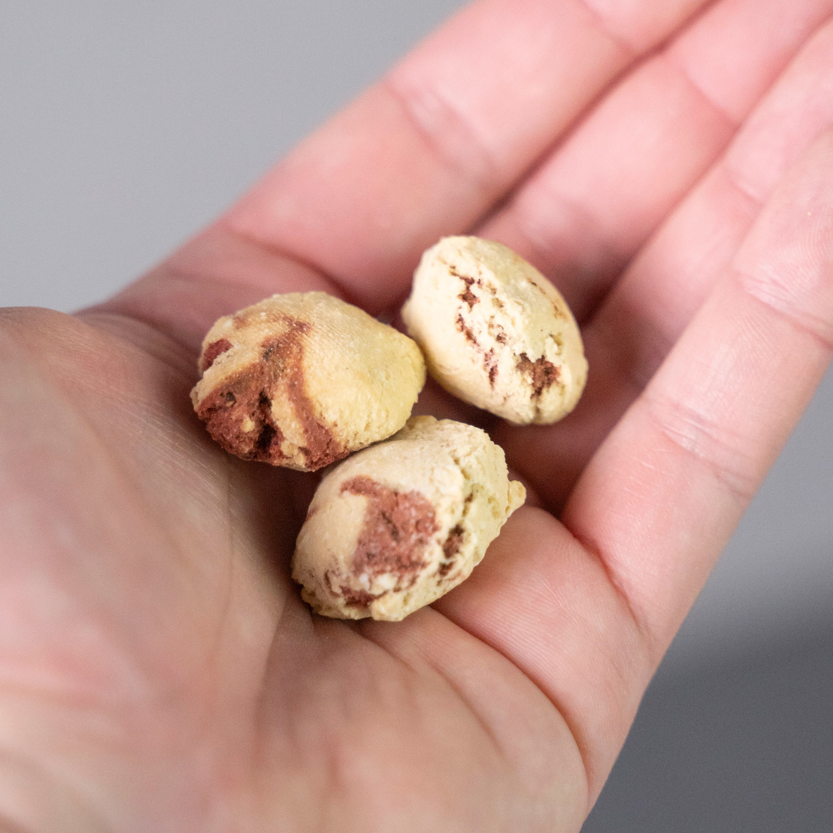 Drei Kokos Crunchies in einer Hand. Die Crunchies sind hellbraun mit roten Flecken. Die Hand ist geöffnet.