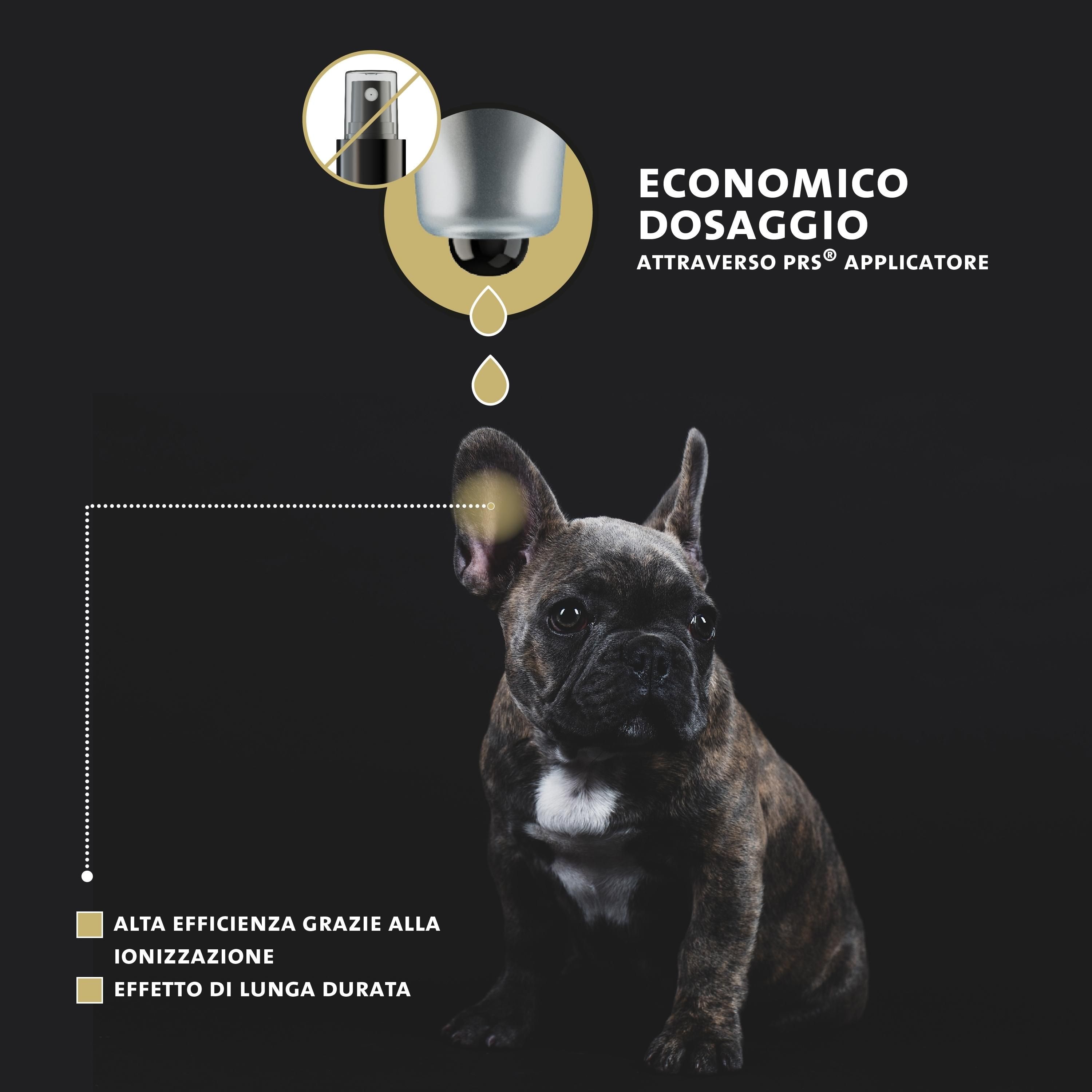 Französische Bulldogge. Sparsame Dosierung durch PRS-Tropf-Applikator. Hohe Wirksamkeit.