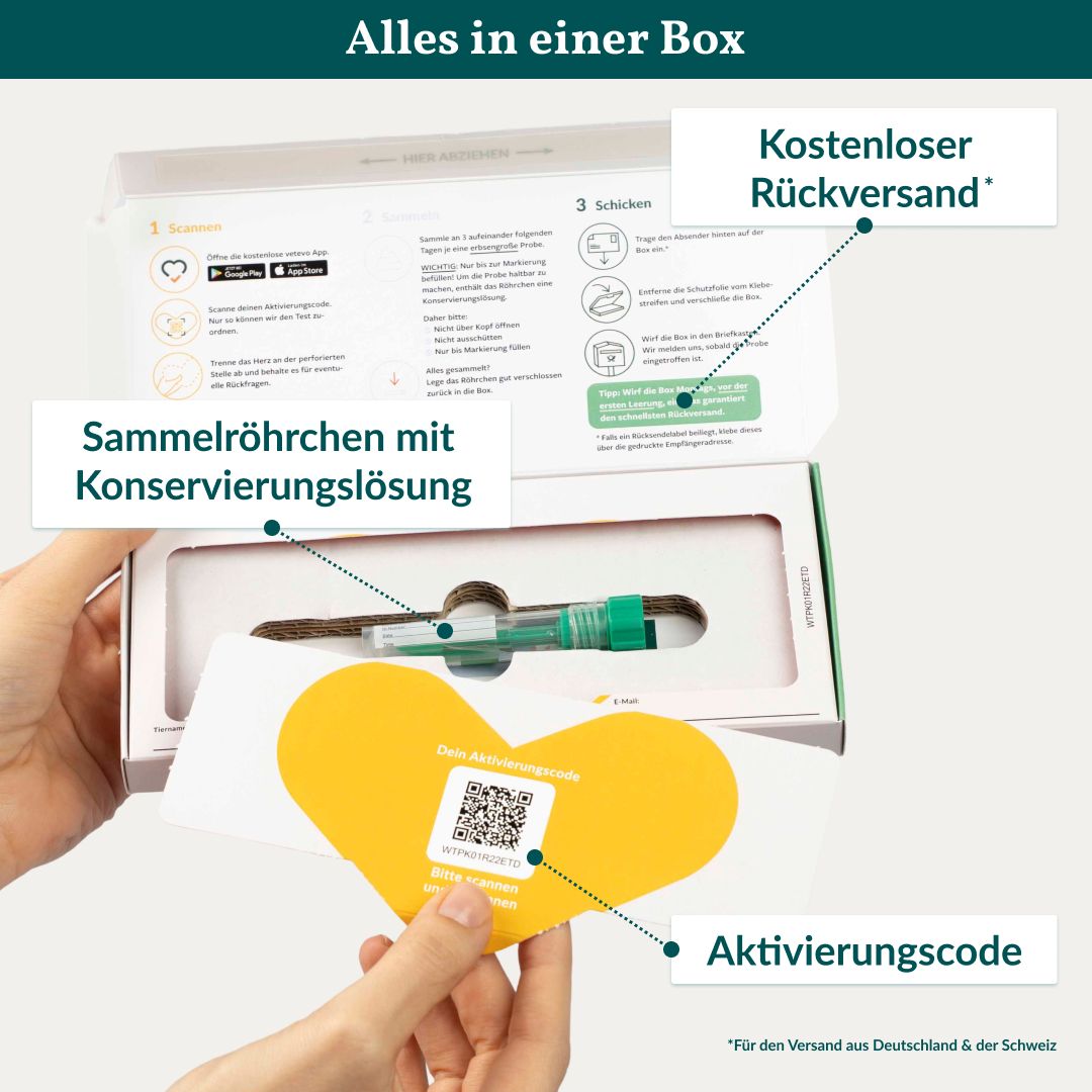 Geöffnete Produktbox: Sammelröhrchen, Aktivierungscode, Anleitung. Kostenloser Rückversand. Gelber Hintergrund.
