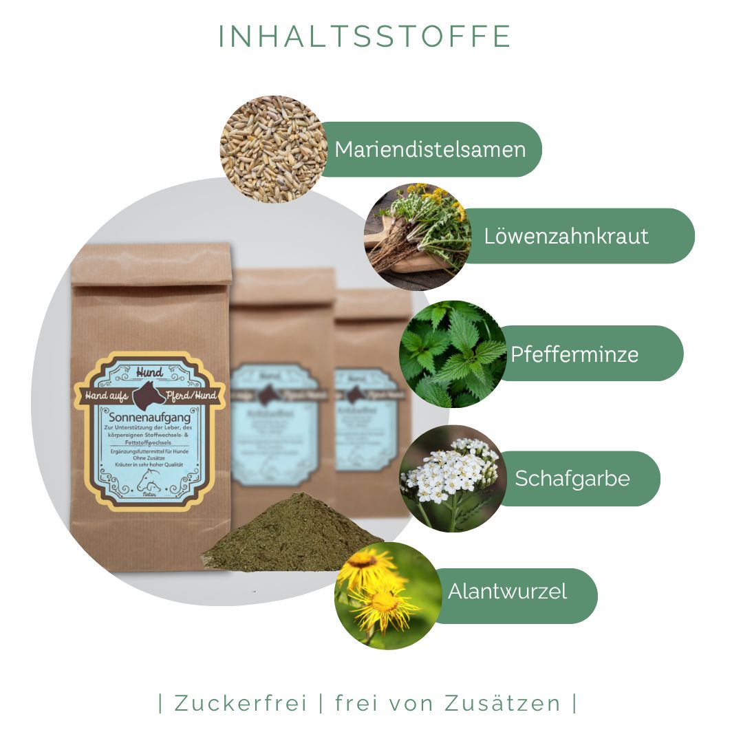 Braune Papiertüten mit Kräutermischung. Text: Hand aufs Pferd/Hund Sonnenaufgang. Zutaten: Mariendistelsamen, Löwenzahnkraut, Pfefferminze, Schafgarbe, Alantwurzel.