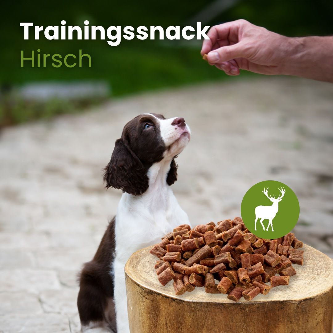 Hundeleckerli mit Hirschgeschmack, kleine Stücke.