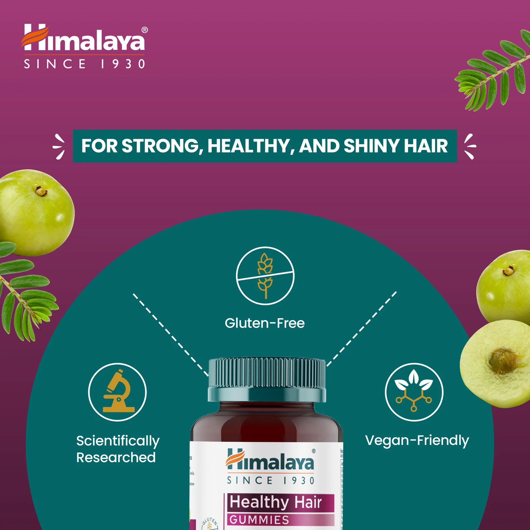 Himalaya Healthy Hair Gummies
