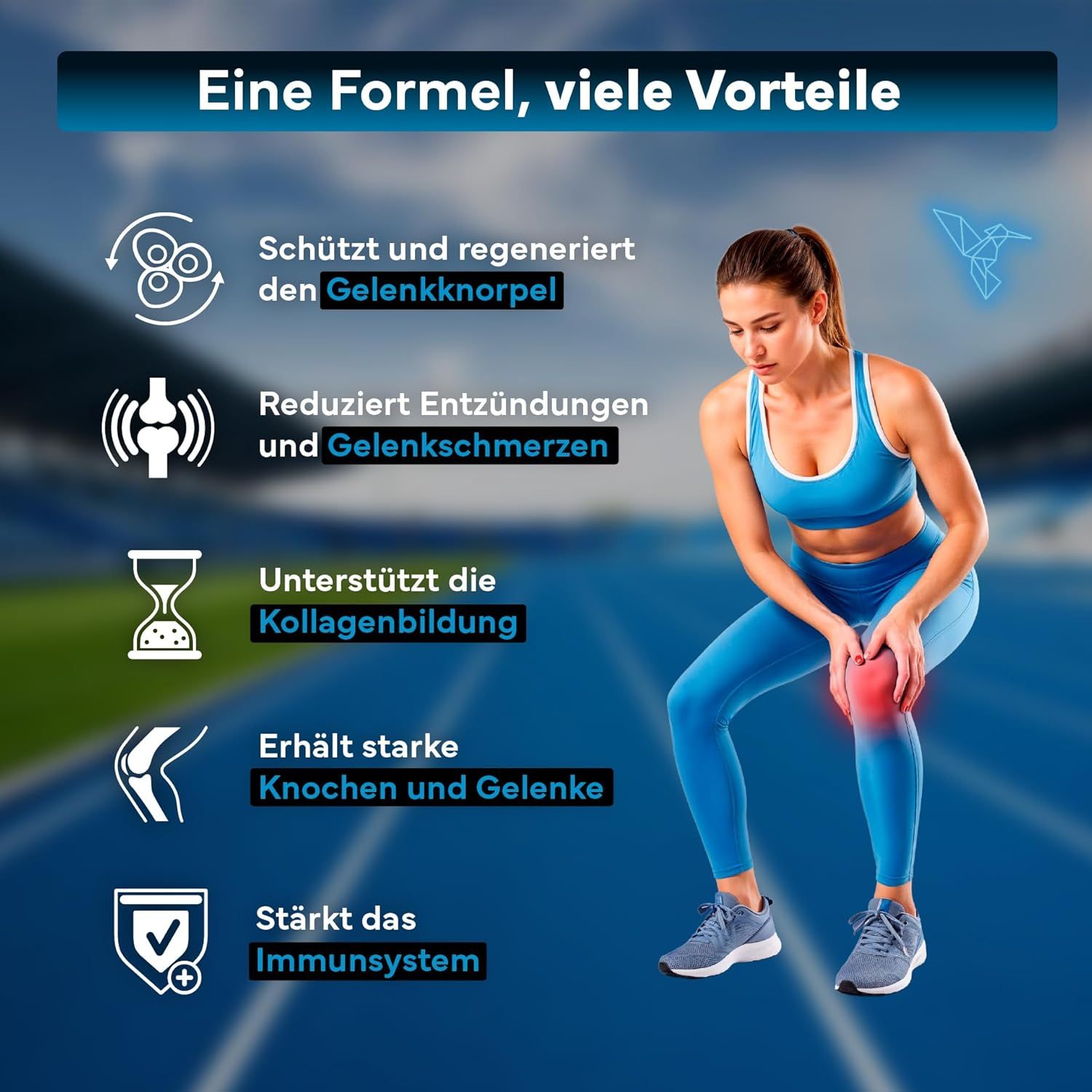 SEVENS NUTRITION Glucosamin, Chondroitin und MSM Kapseln