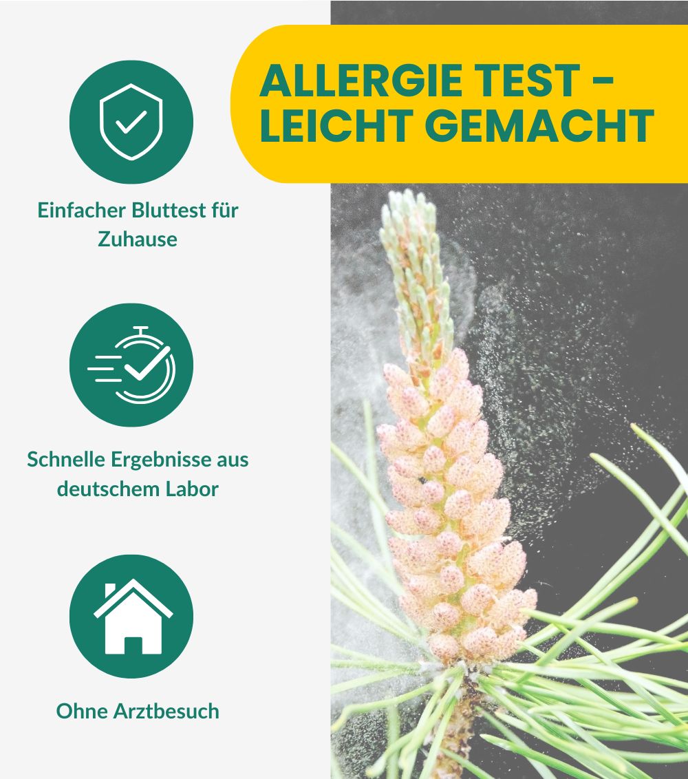Infografik: Allergie Test - Leicht gemacht. Icons und Text. Kiefernzapfen im Hintergrund. Gelb-grünes Design.