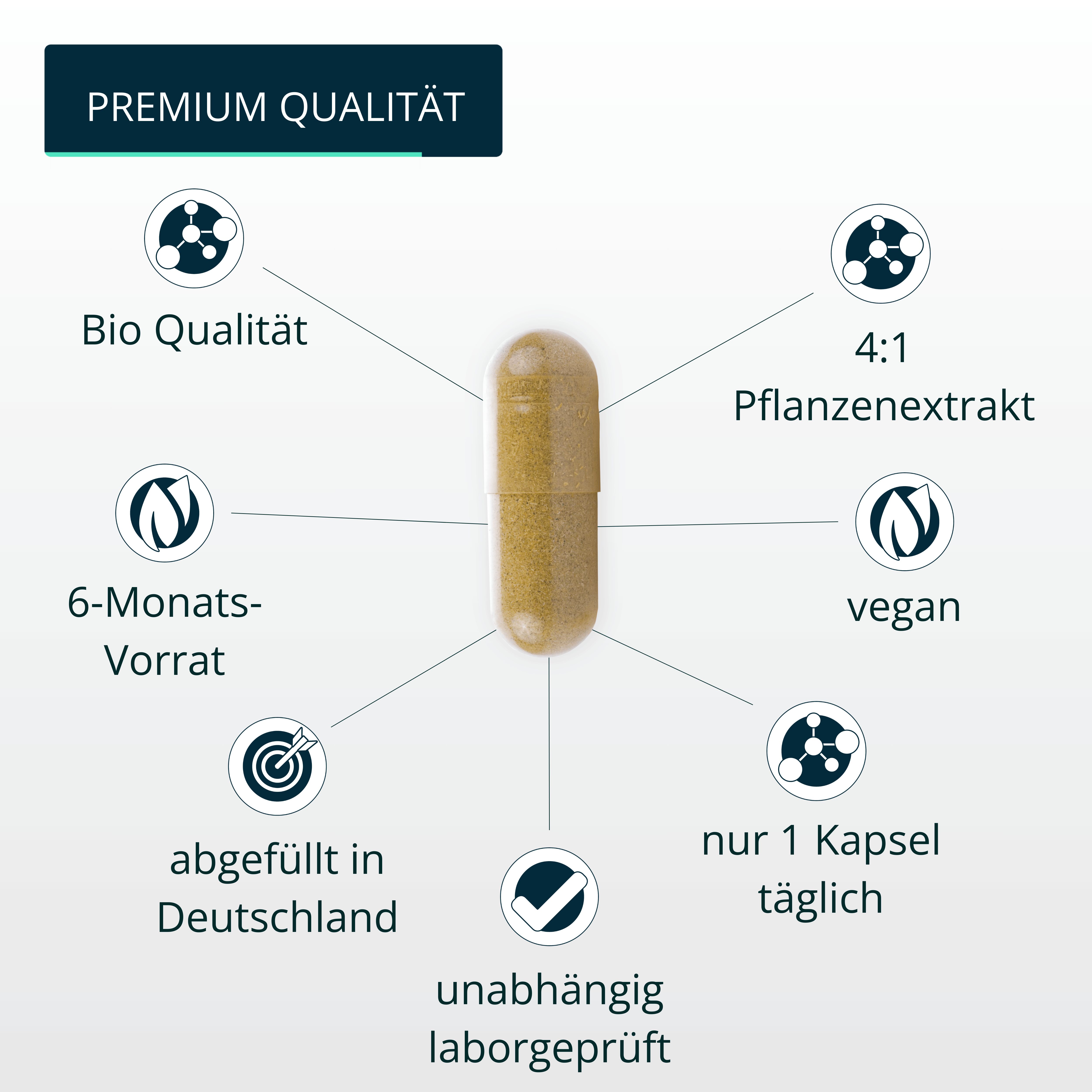 Kapsel in der Mitte, umgeben von Informationen. Text: Bio Qualität, 4:1 Pflanzenextrakt, vegan, nur 1 Kapsel täglich.