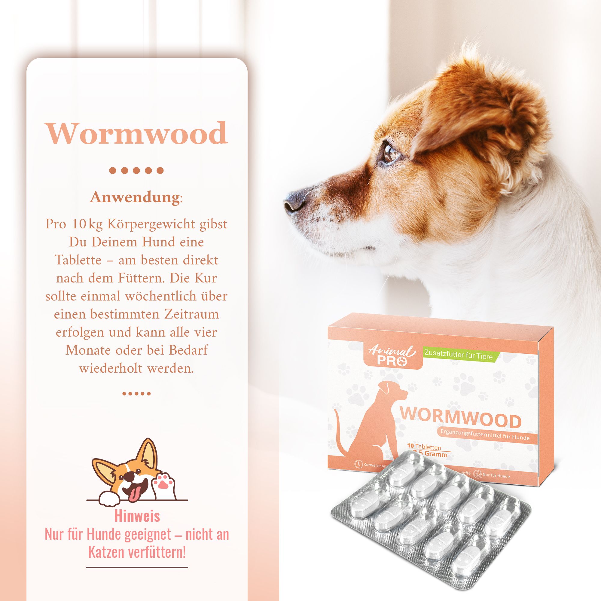 Packung Animal Pro Wormwood mit Tabletten. Neben der Packung ist eine Blisterpackung mit Tabletten zu sehen. Im Hintergrund ein Hund.