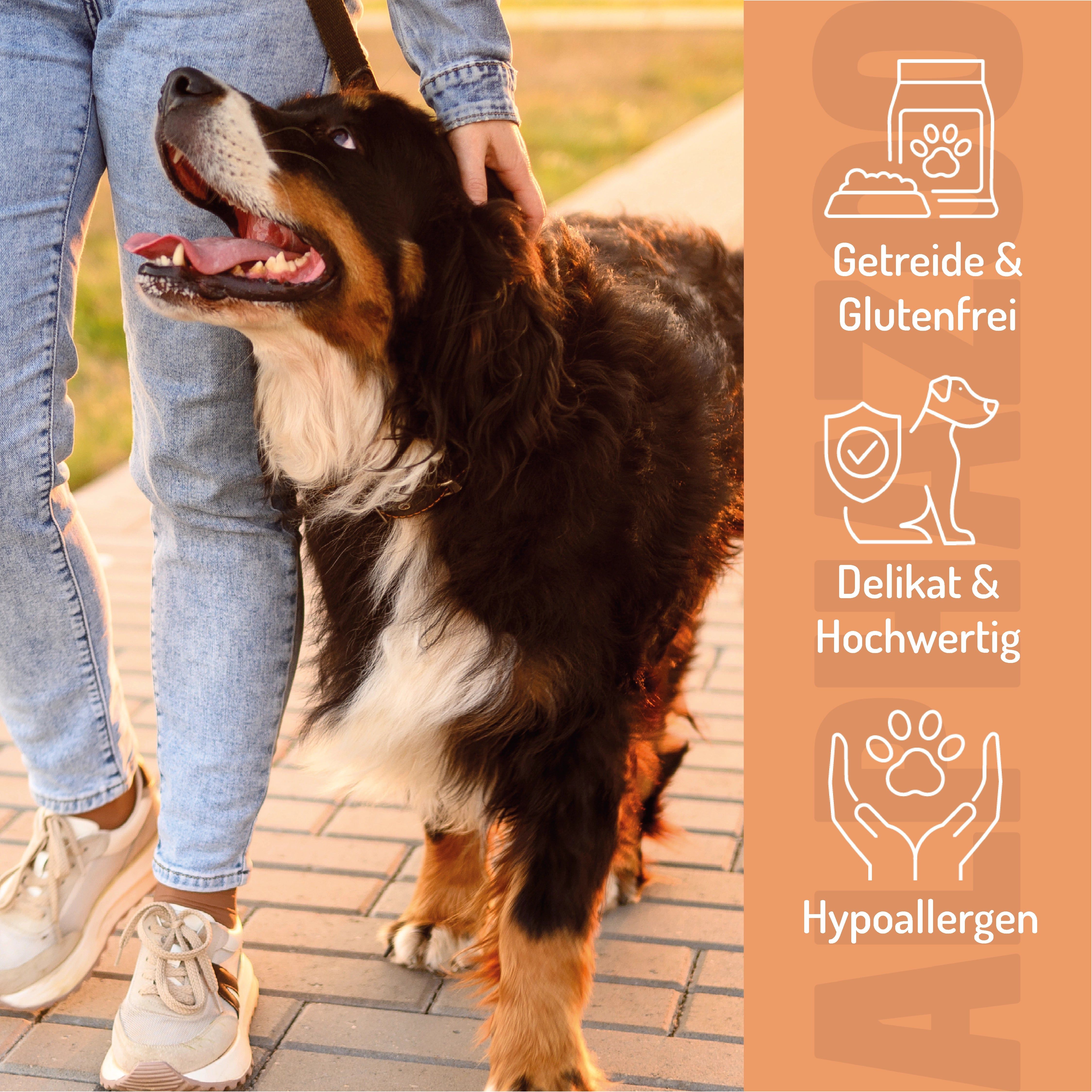 Hund an der Leine mit Person. Auf orangefarbenem Hintergrund Symbole für getreide- & glutenfrei, delikat & hochwertig, und hypoallergen.
