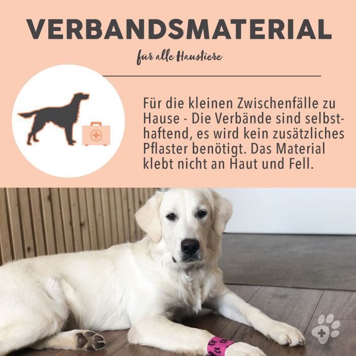 Paws&Patch Selbsthaftende Verbände Piraten BOX 6er-Set für alle Heimtiere 1 St Bandage(s)