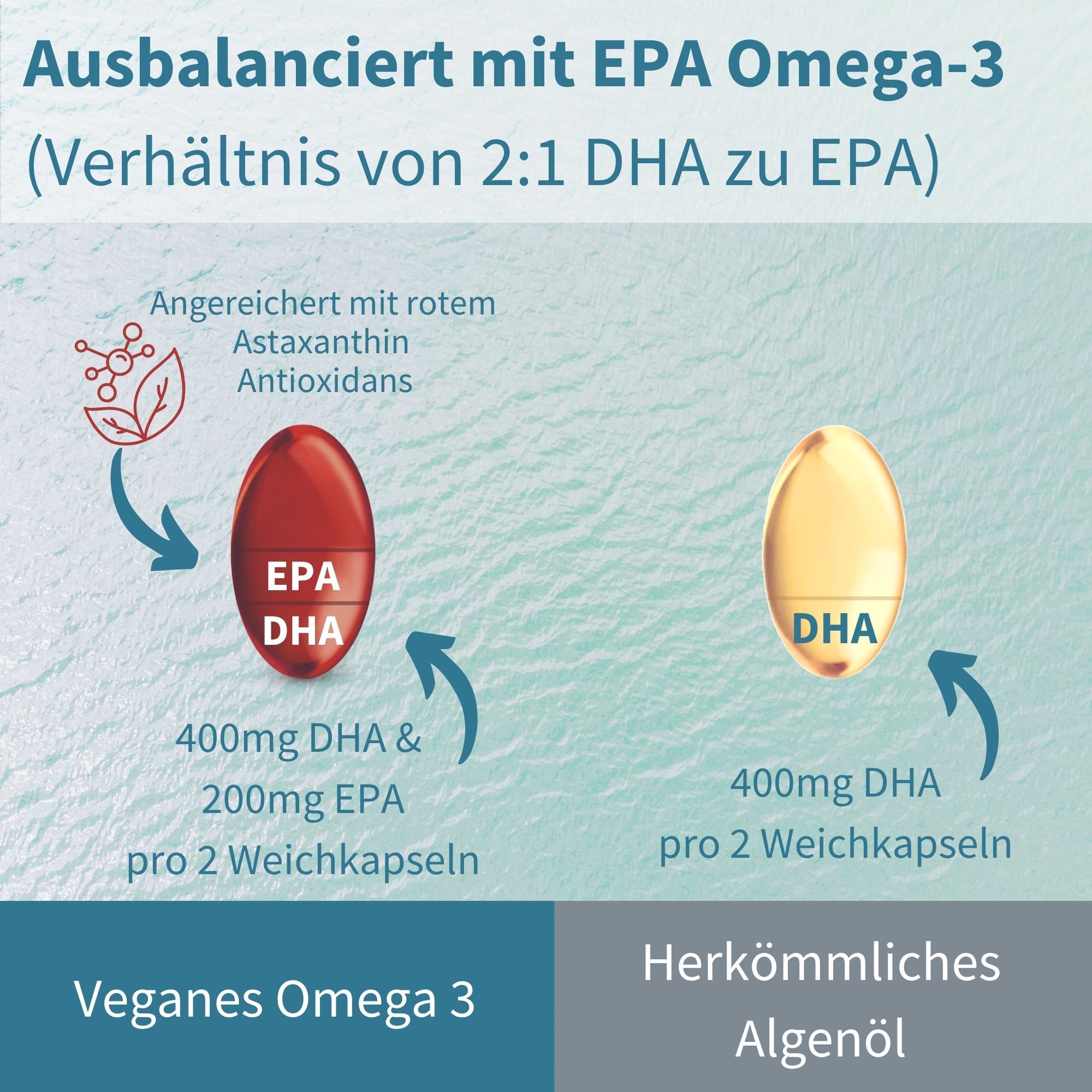 Vergleich: Veganes Omega 3 (400mg DHA, 200mg EPA) vs. herkömmliches Algenöl.