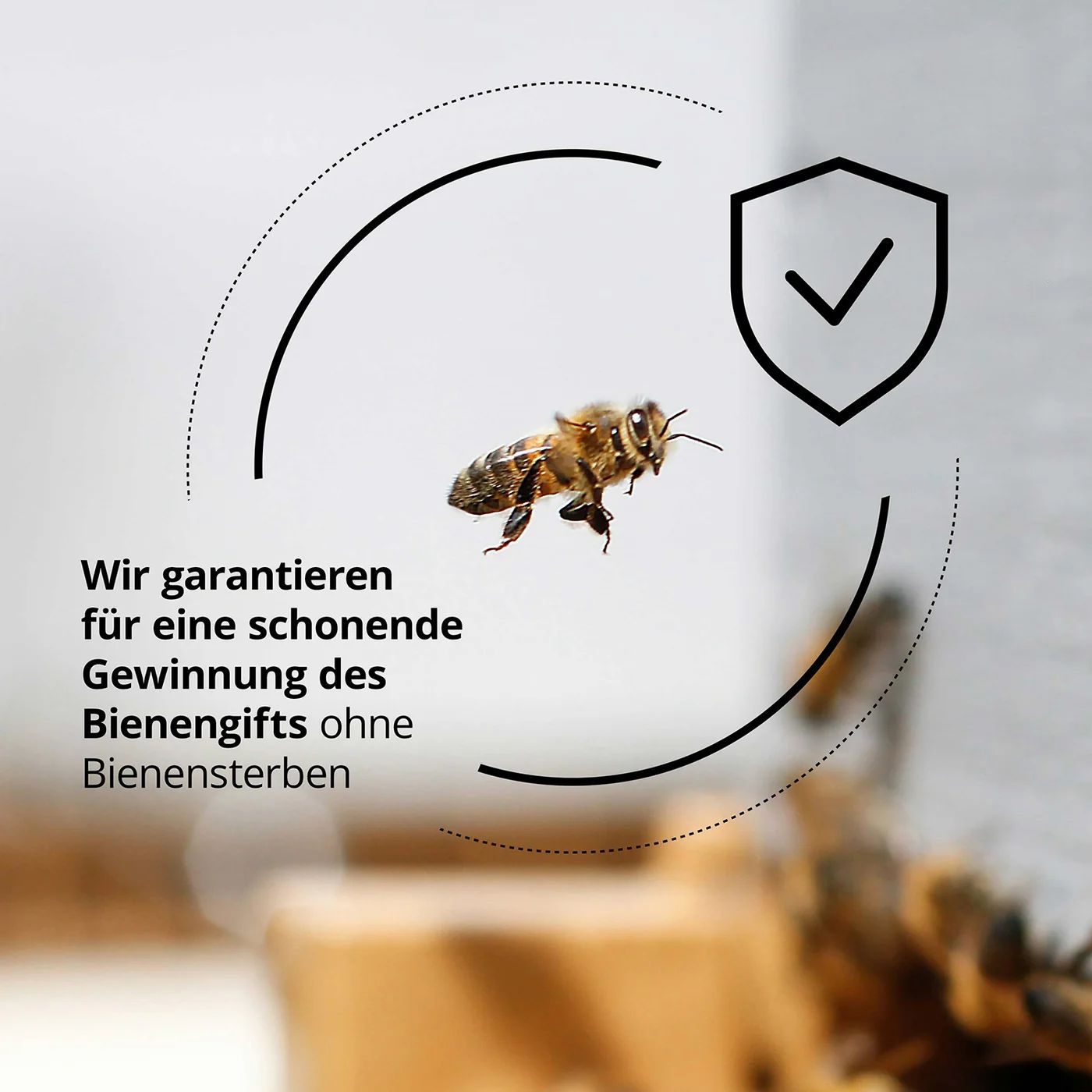 Anti-Falten Set