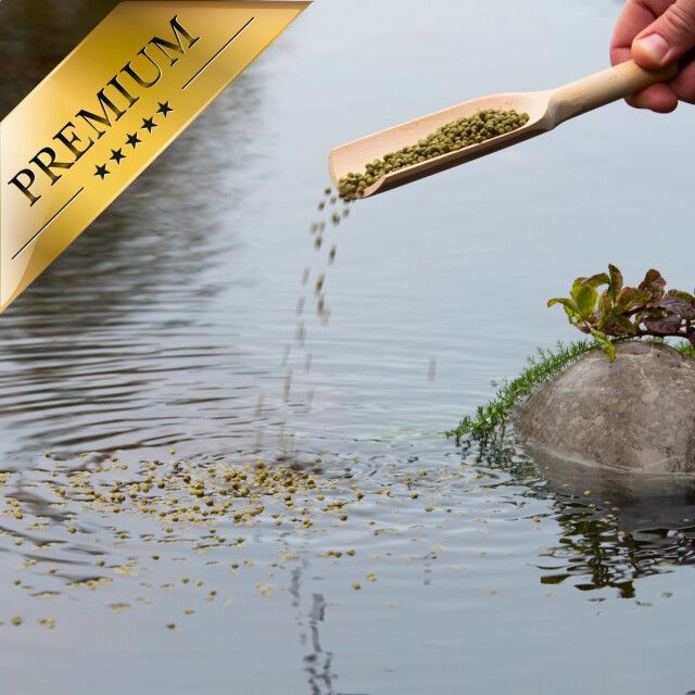 Grüne Pellets werden mit einer Holzschaufel in Wasser gegeben. Goldener Banner mit Text: PREMIUM.