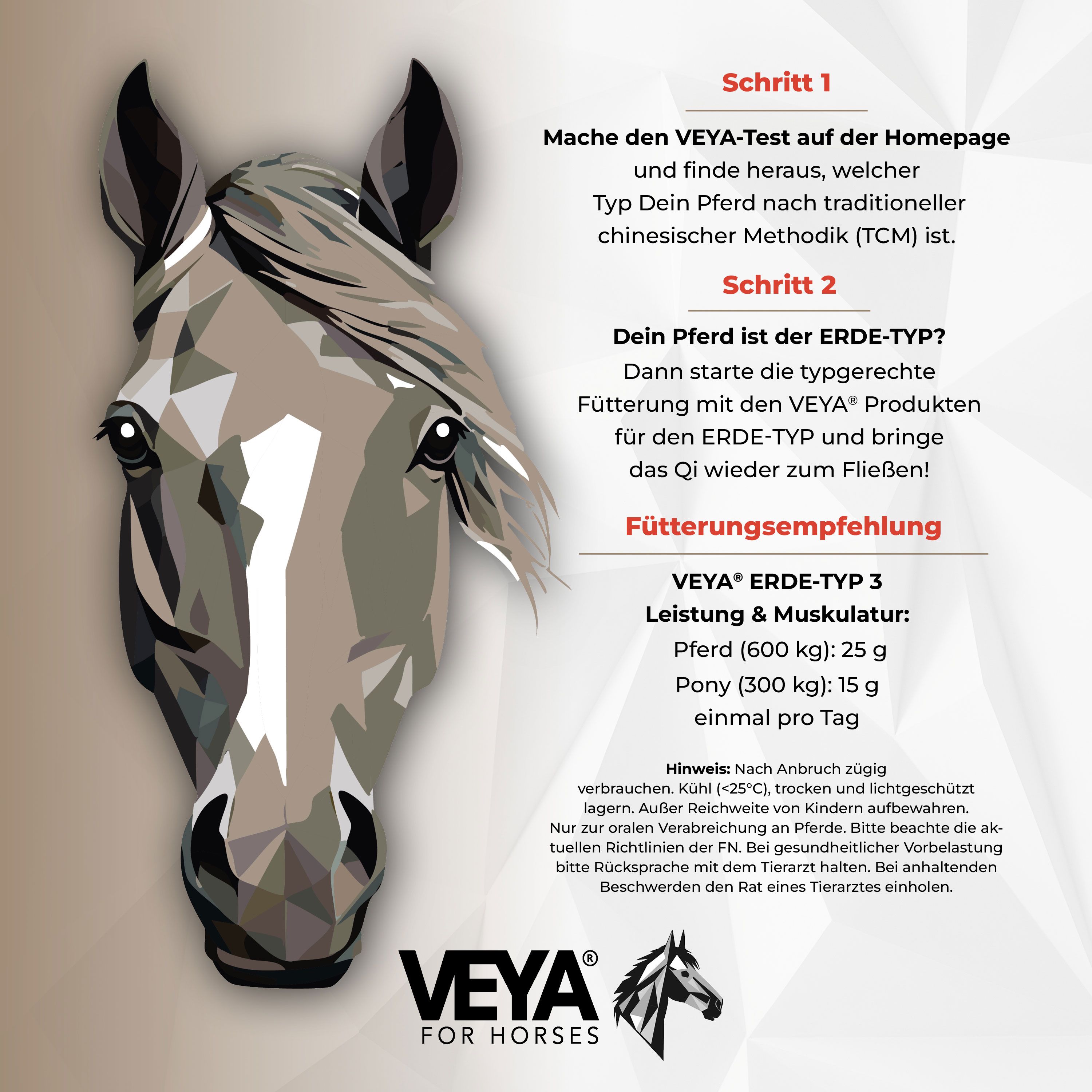 VEYA ERDE-TYP 3 Leistung & Muskulatur