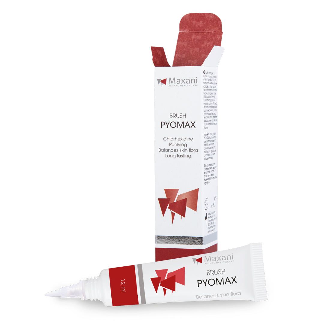 Weiße Tube mit roter Aufschrift "Maxani PYOMAX BRUSH". Daneben eine aufrechte Schachtel mit roter Aufschrift.