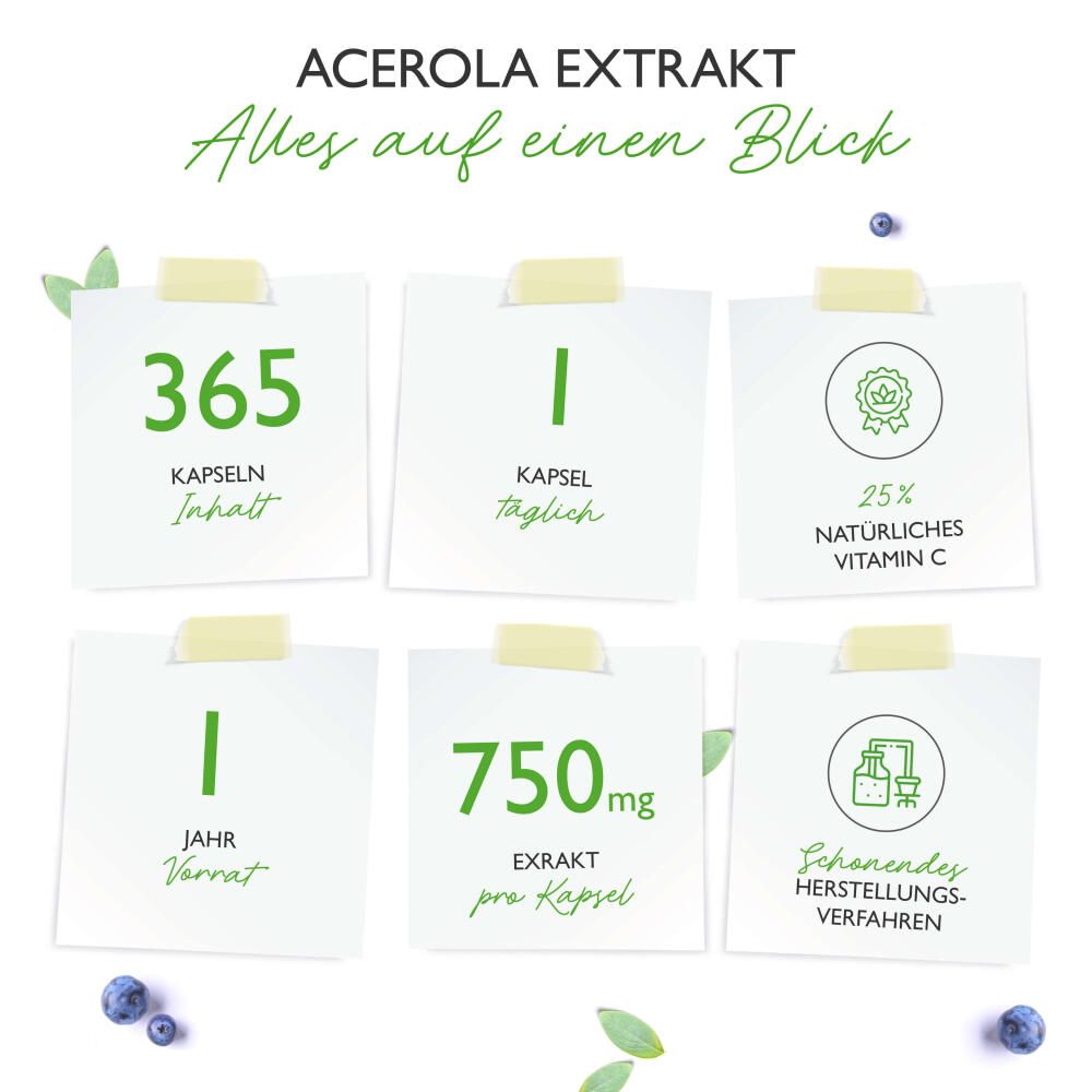 vit4ever Acerola Extrakt