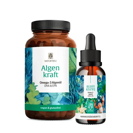 Zwei Flaschen Omega-3-Algenöl: Kapseln und Tropfen. Braune Glasbehälter mit Etiketten.