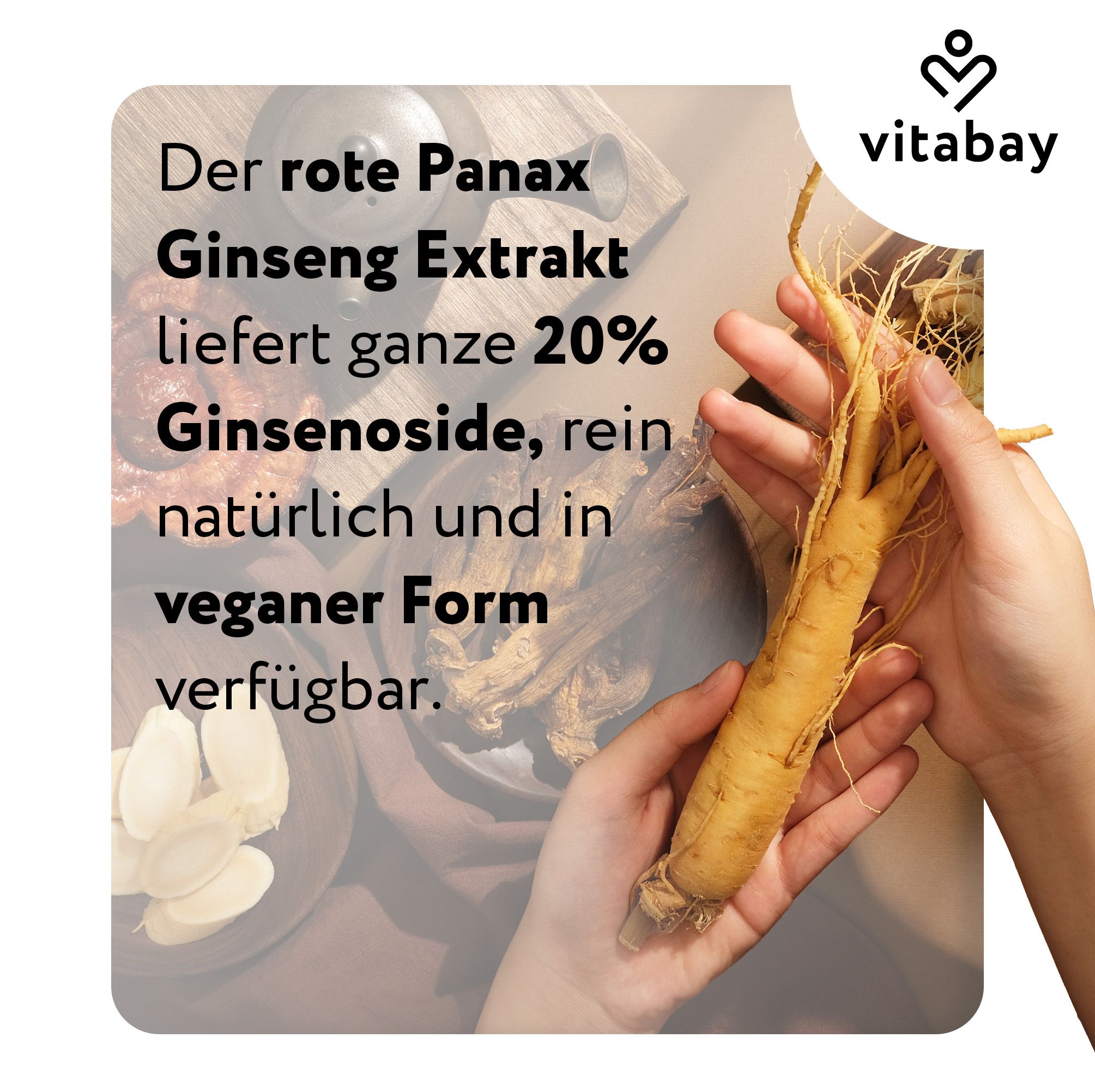 Hände halten Ginsengwurzel, Vitabay Roter Panax Ginseng Extrakt.