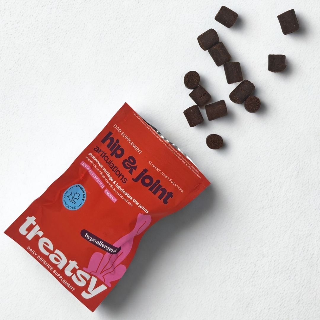 Rote Tüte mit Produkt für Hunde. Text: Hip & Joint, Articulations. Braune, runde Kausnacks liegen daneben.