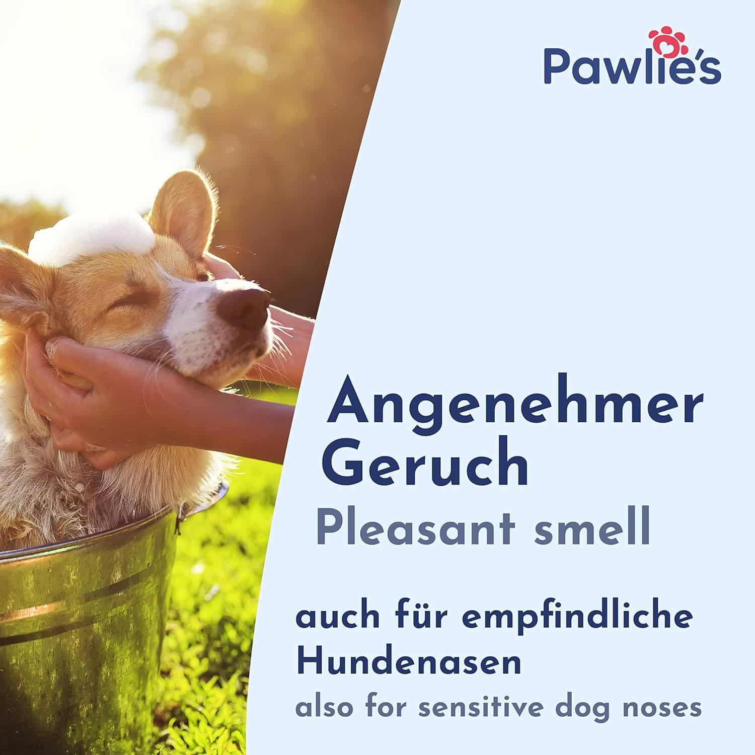Ein Hund wird von einer Person gebadet. Text: Angenehmer Geruch, auch für empfindliche Hundenasen. Pawlie's Logo.