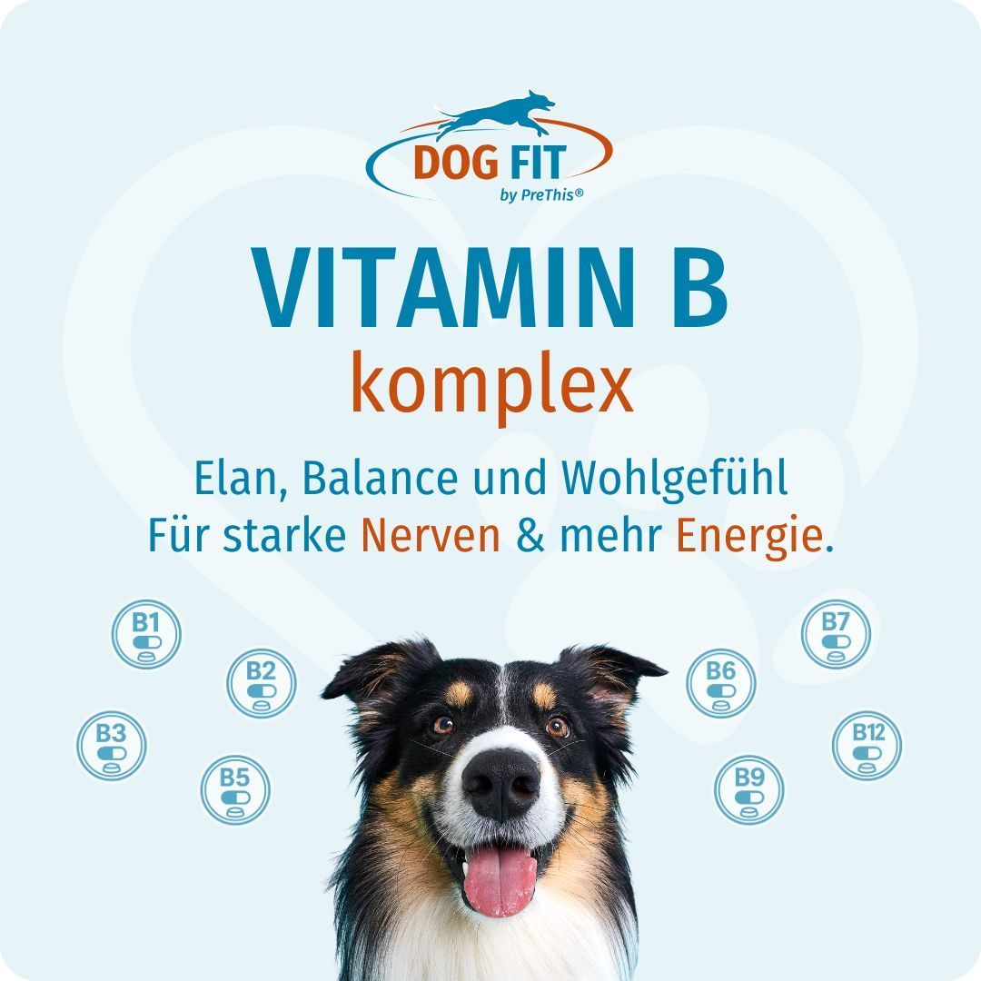 Produkt DOG FIT by PreThis® VITAMIN B für Hunde. Hund mit Zunge, umgeben von Vitamin B Kapseln. Text: Elan, Balance und Wohlgefühl.