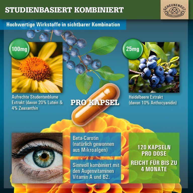 Infografik: Studentenblume, Heidelbeeren, Beta-Carotin, Auge. Pro Kapsel: 100mg Studentenblume, 25mg Heidelbeere.