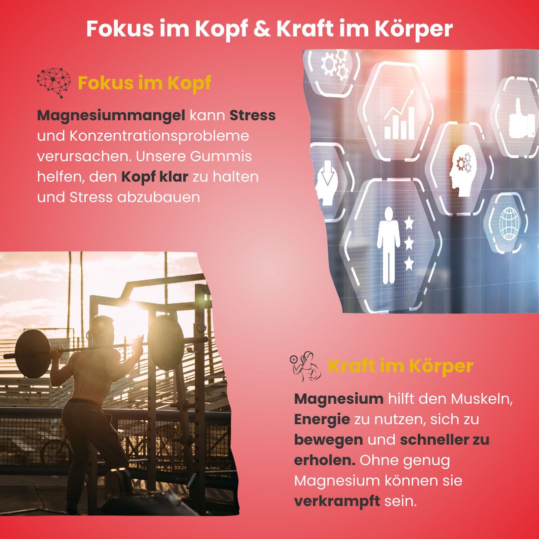Zwei Bilder. Oben: Person mit Symbolen für Fokus. Unten: Person beim Gewichtheben mit Symbolen für Kraft. Text: Fokus im Kopf & Kraft im Körper.