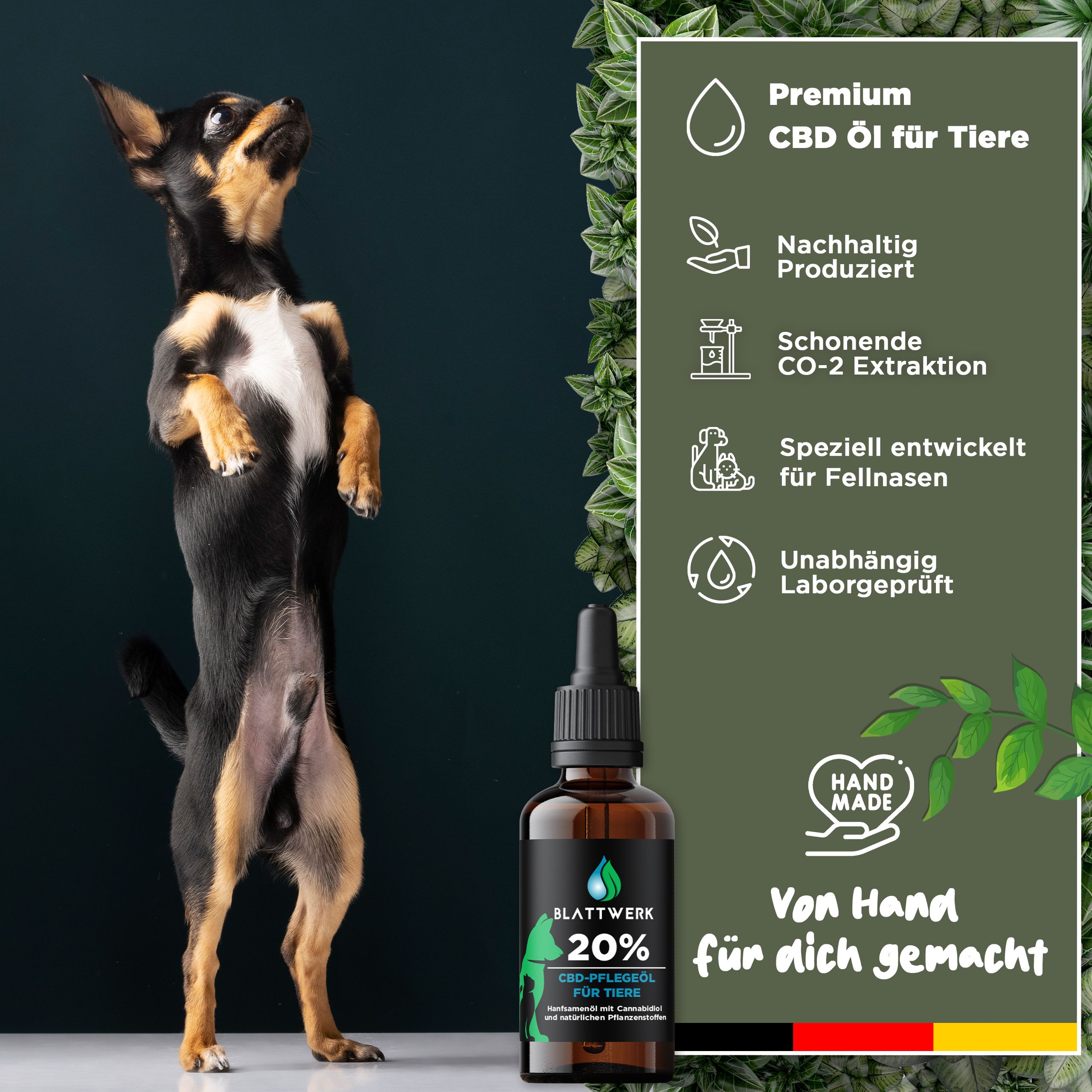 20% CBD Öl für Hunde & Katzen - Deutsche Qualität - CBD Öl Hund - 10ml - 250 CBD Tropfen - BLATTWERK