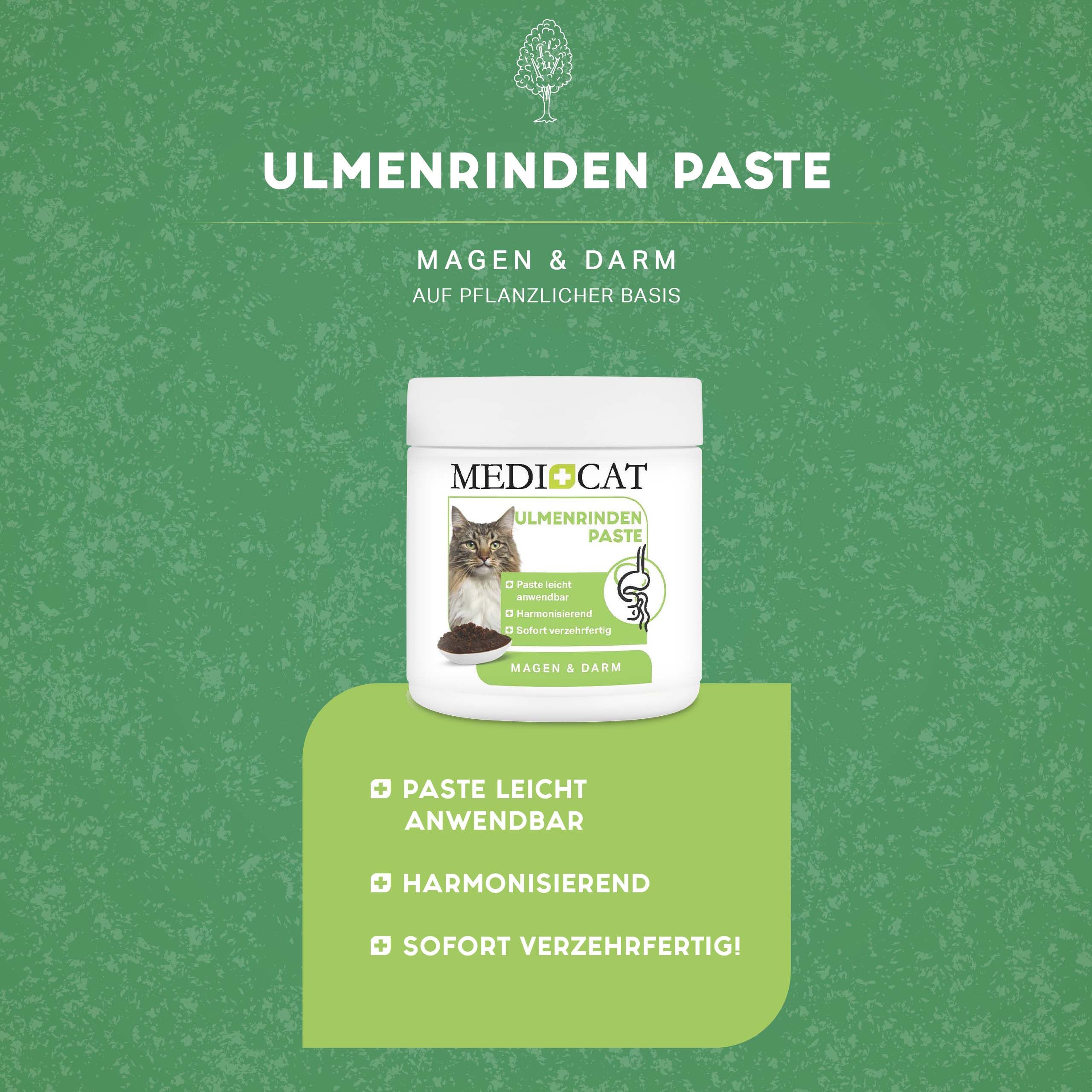 Medicat Ulmenrinden Paste 200 g