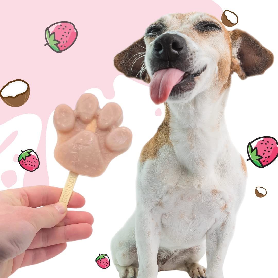 Hund mit Eis am Stiel in Pfotenform. Erdbeeren und Kokosnüsse im Hintergrund. Text: #BEGBUDDY.