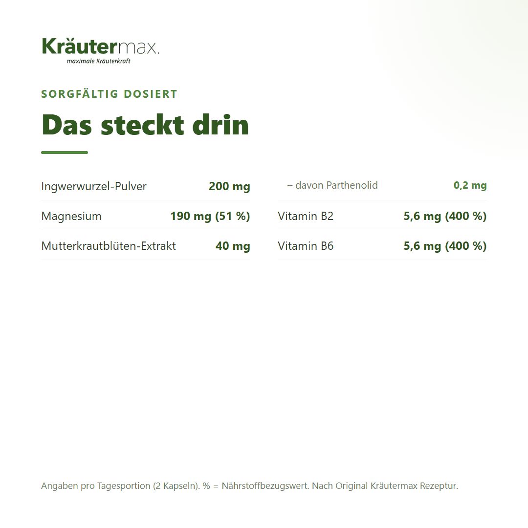 Übersicht der Inhaltsstoffe von Kräutermax Mutterkraut Extrakt+: Ingwerwurzel-Pulver, Magnesium, Mutterkrautblüten-Extrakt, Vitamin B2, B6.