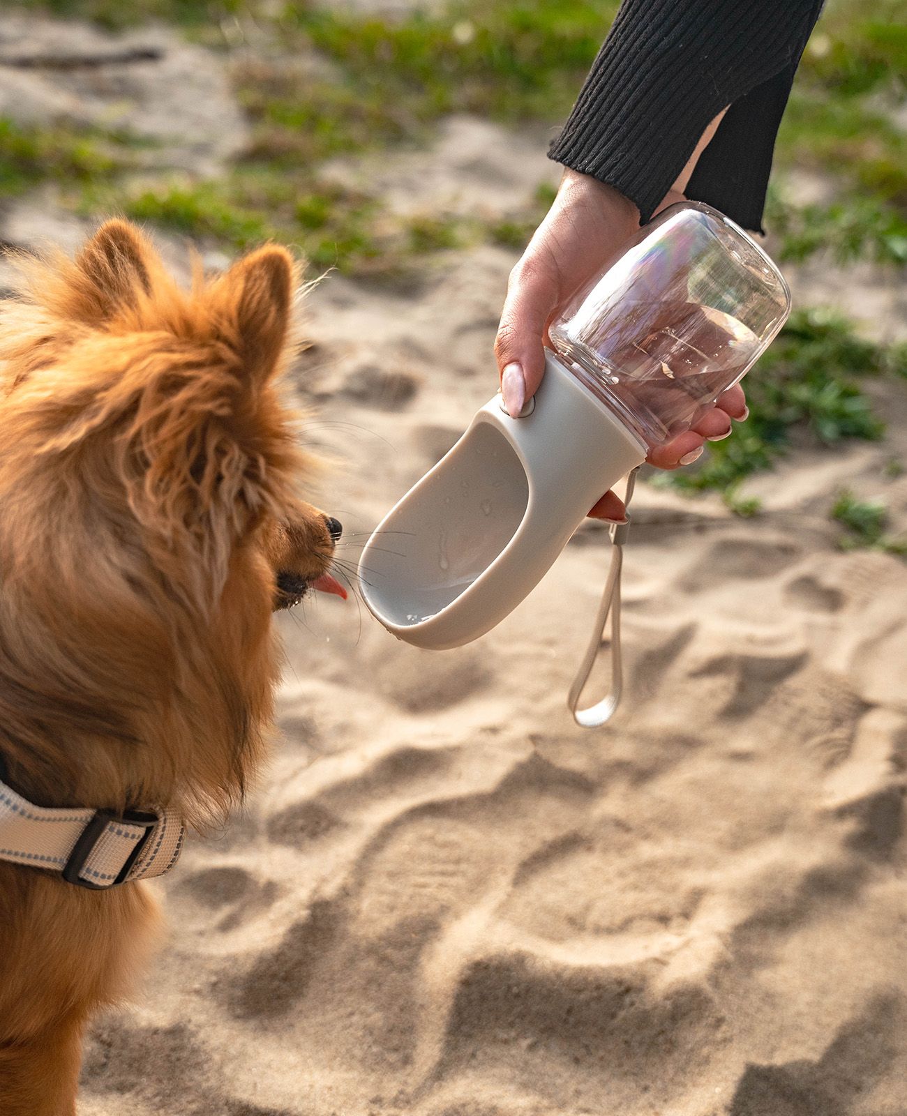 lionto Wasserflasche für Unterwegs